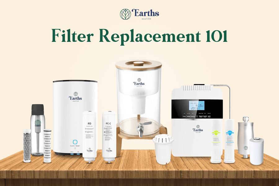 Water Filter 101: When to Replace and Why It Matters